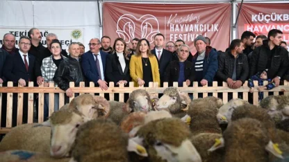 Trakya'nın ilk Küçükbaş Hayvancılık Festivali Malkara'da coşkuyla başladı