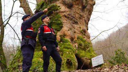 Yalova’da Jandarma turizm bölgelerinde güvenliği artırdı