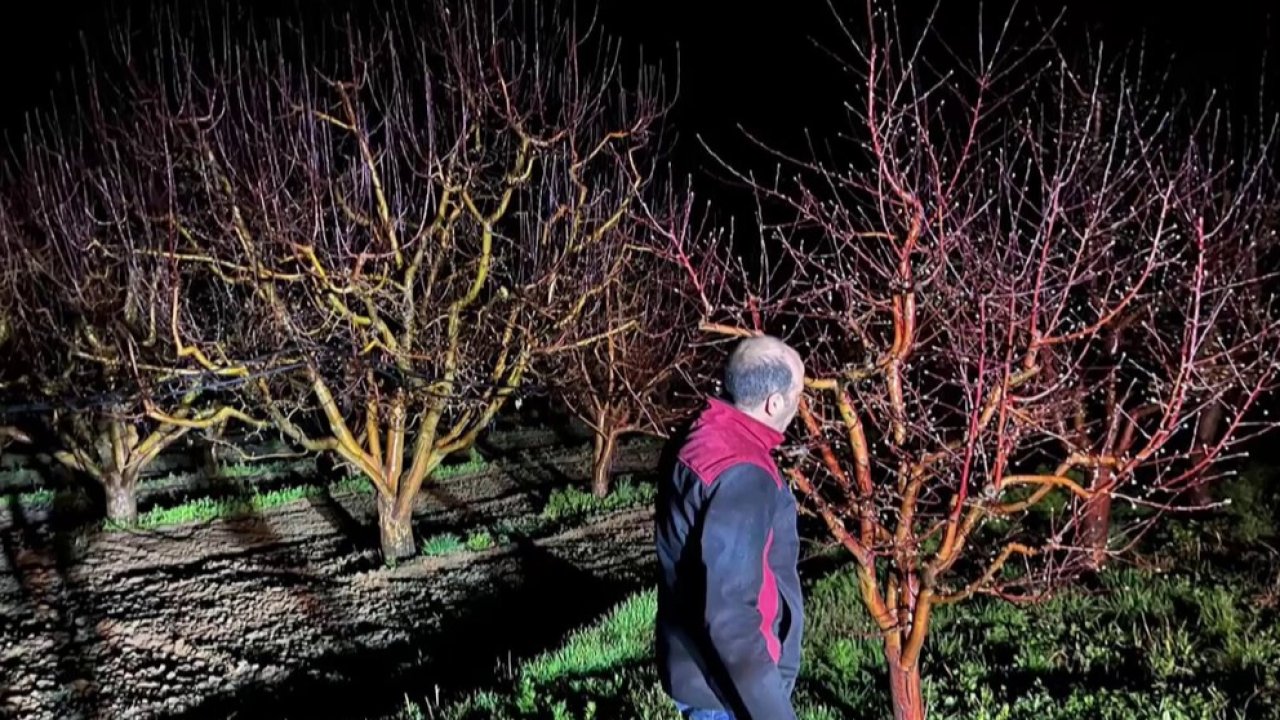 Zirai don alarmı! Ekipler sahada