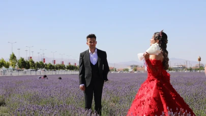 Lavanta festivaline büyük ilgi