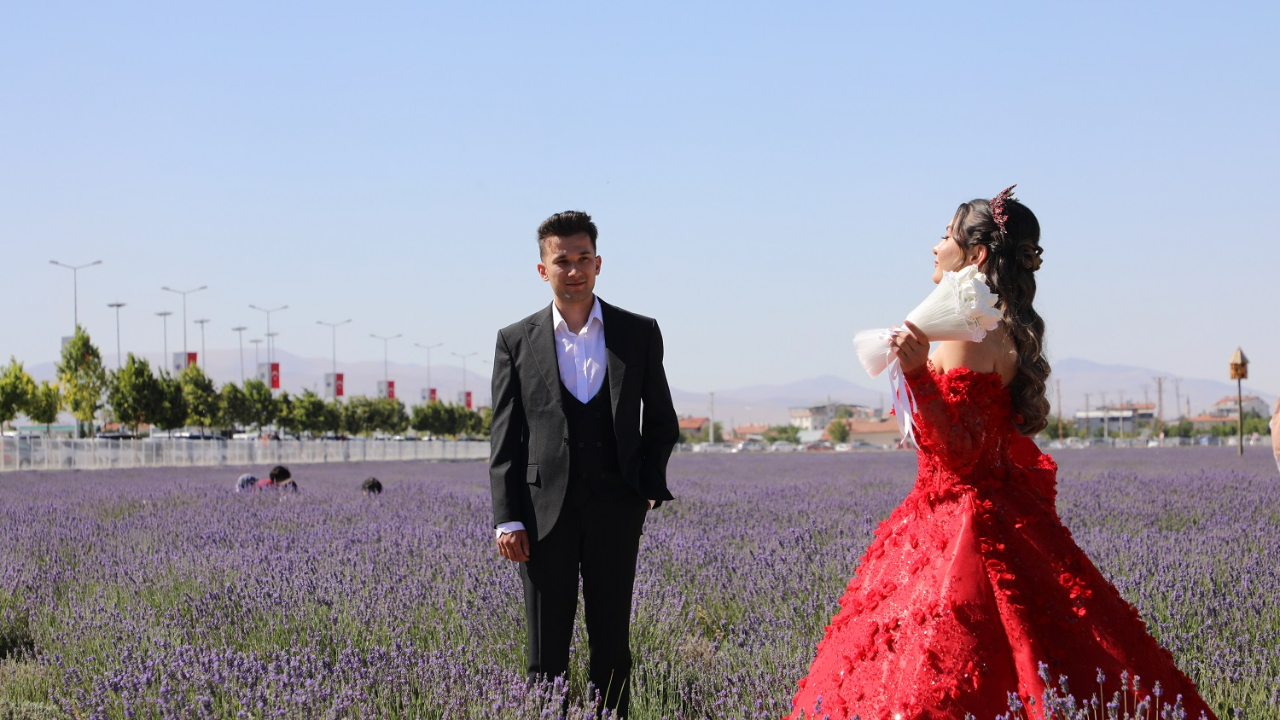 Lavanta festivaline büyük ilgi