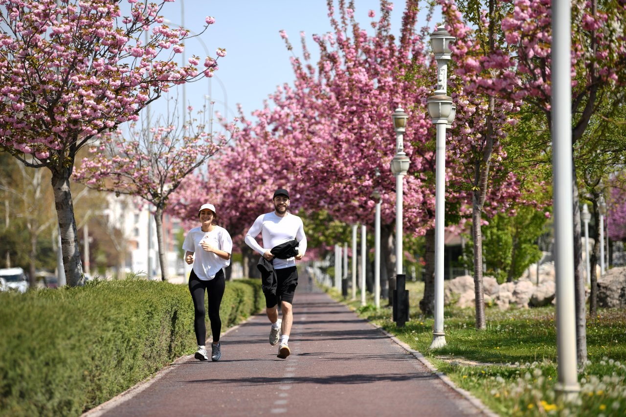 Konya'da Sakura mevsimi başladı